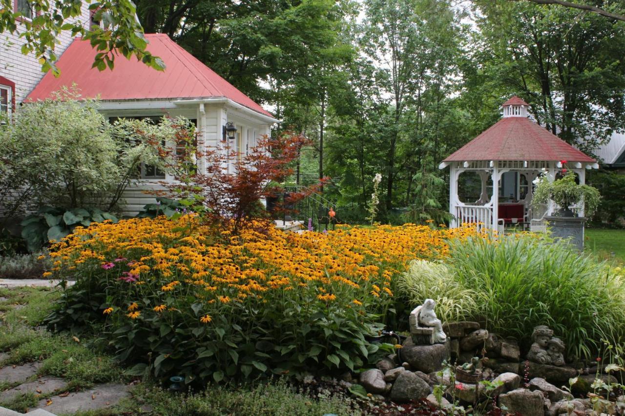 Lionheart Guest House Lion's Head Exterior foto